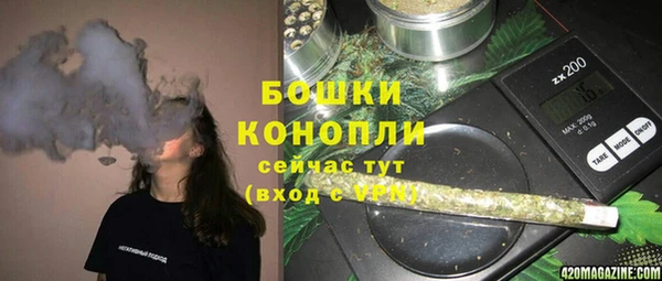 стаф Армянск