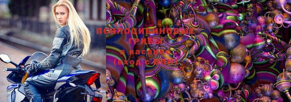 прущий лед Арсеньев