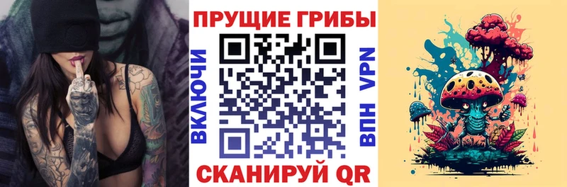 где продают наркотики Камешково Псилоцибиновые грибы прущие грибы